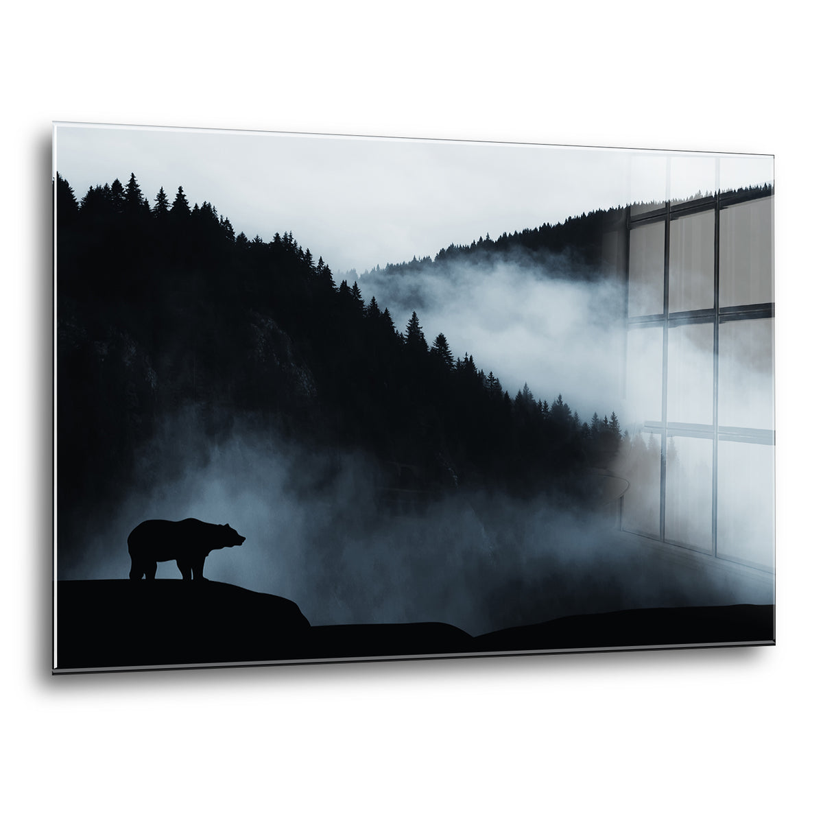 Acrylglas Wandbild - Shadow Bear