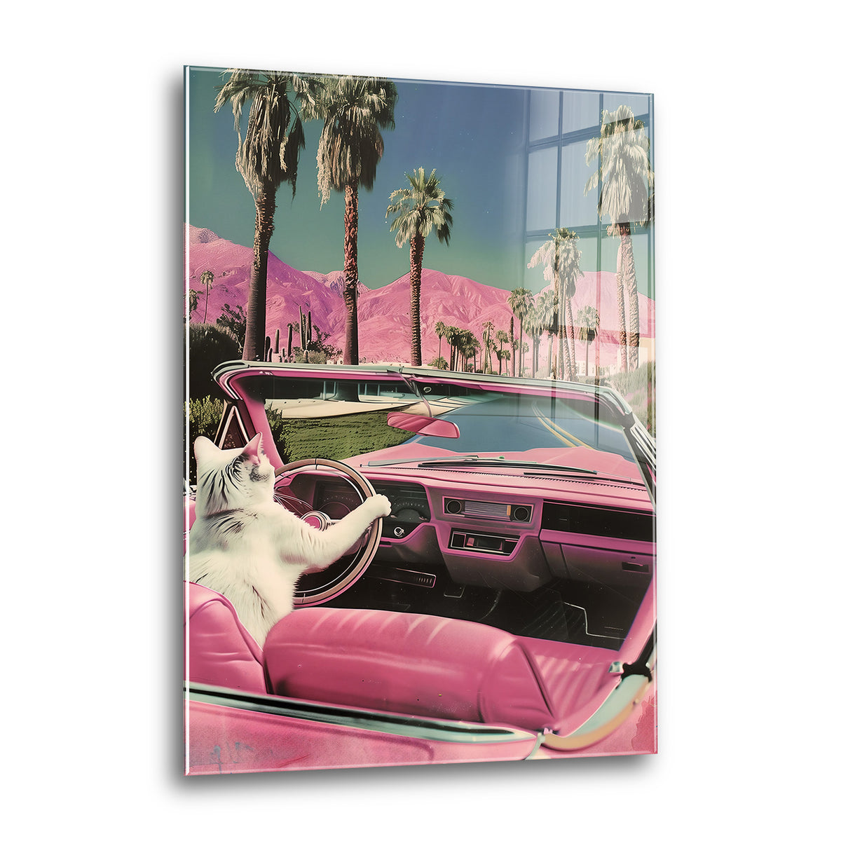 Acrylglas Wandbild - Kitty Cabriolet