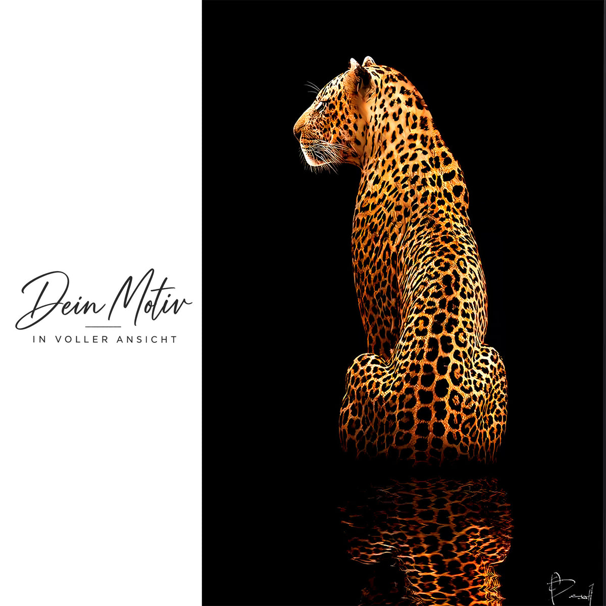 Acrylglas Wandbild - Wild Elegance