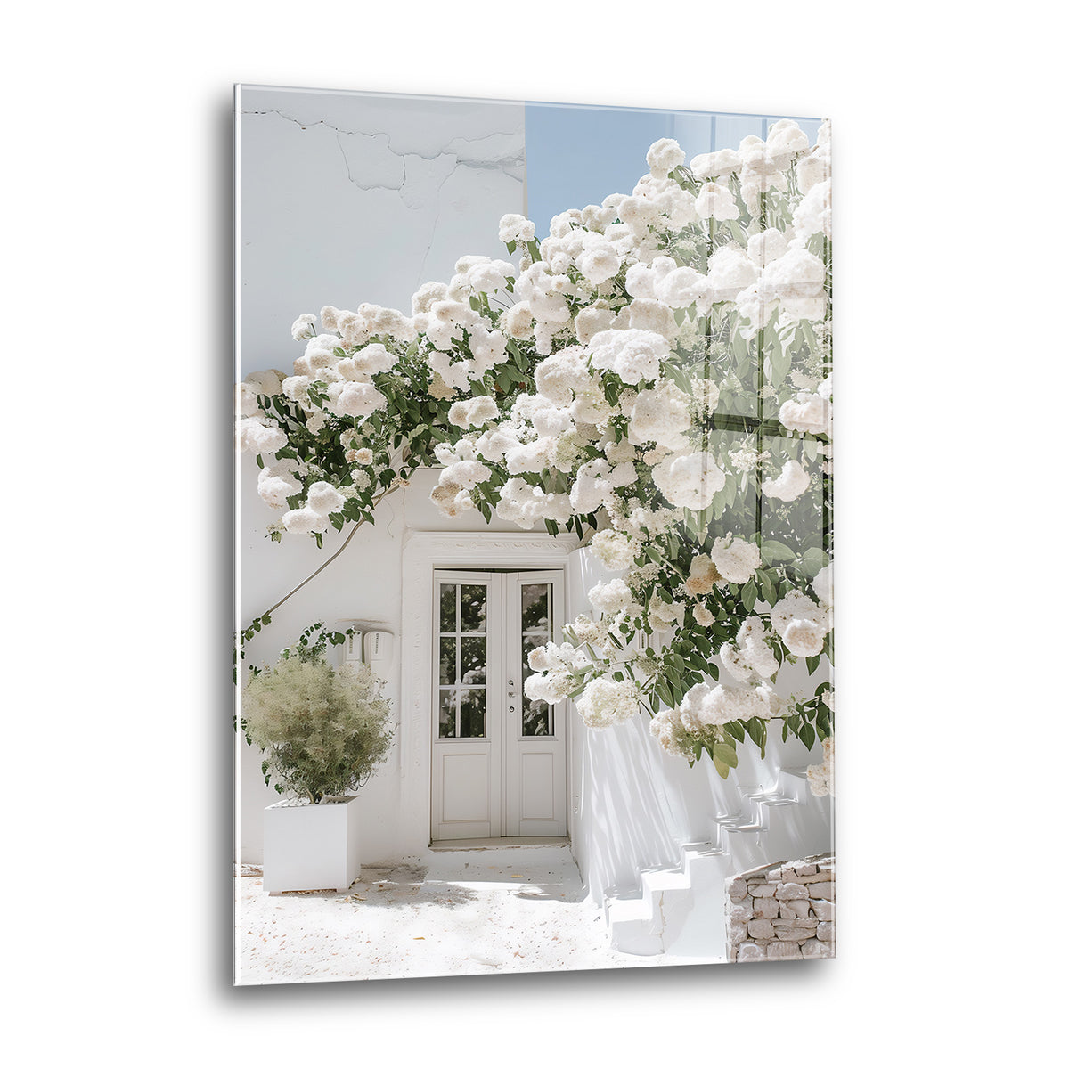 Acrylglas Wandbild - White Flower