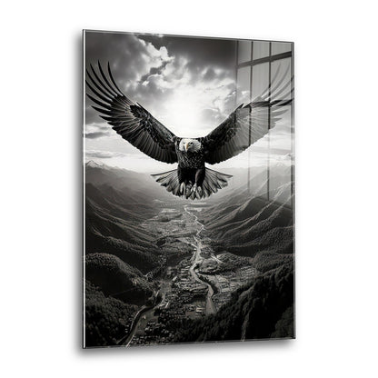 Acrylglas Wandbild - Flying Eagle