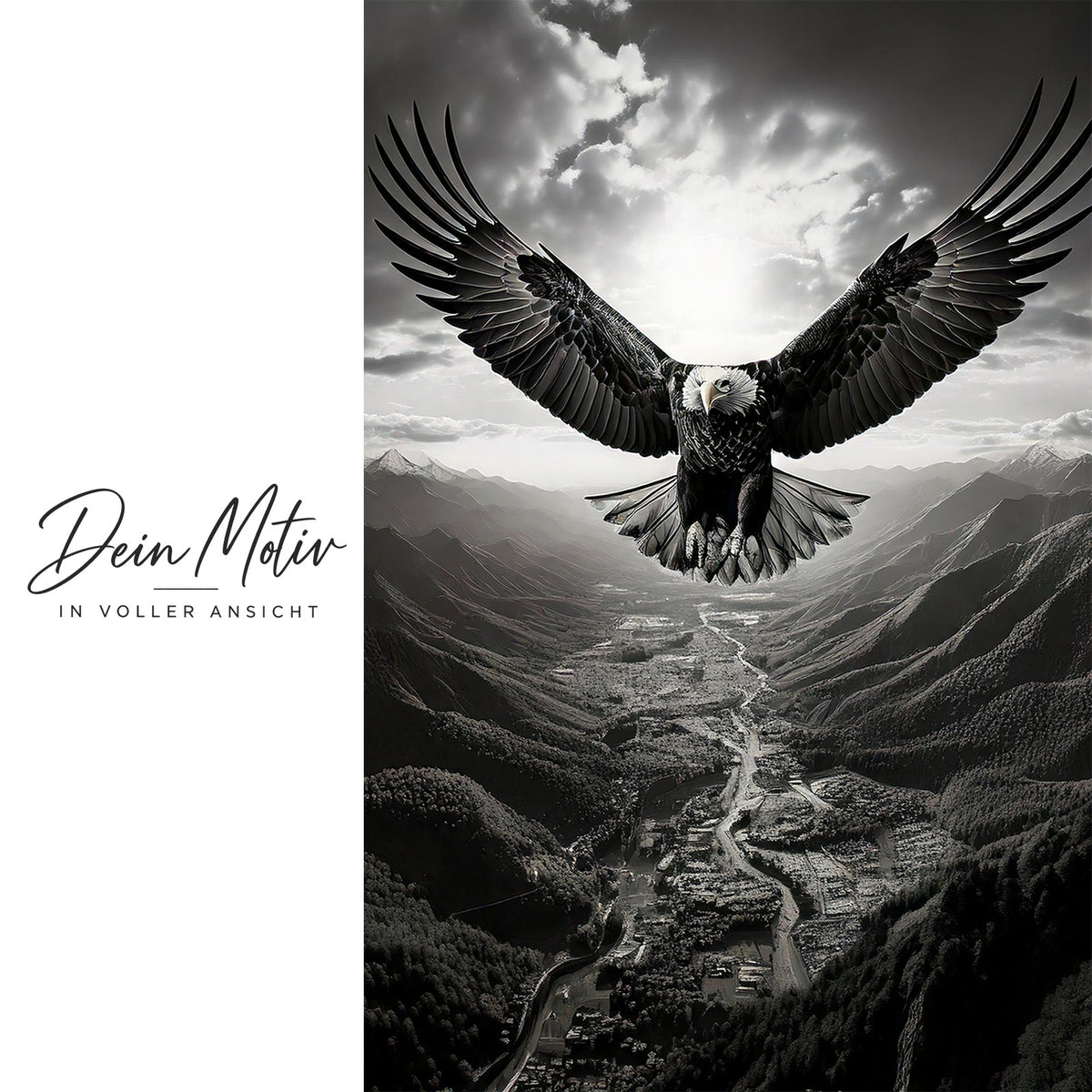 Acrylglas Wandbild - Flying Eagle