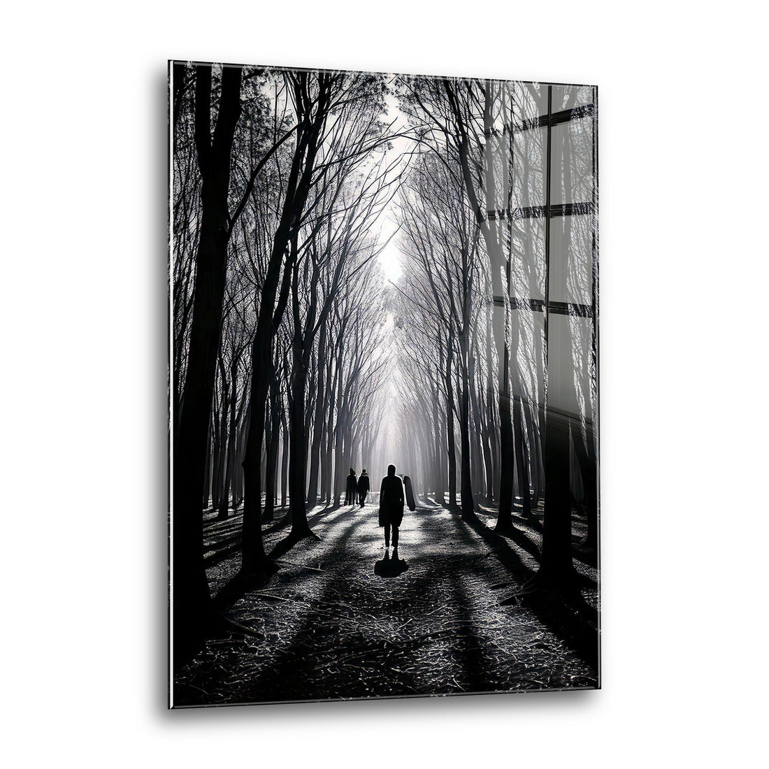 Acrylglas Wandbild - Shadow Trees